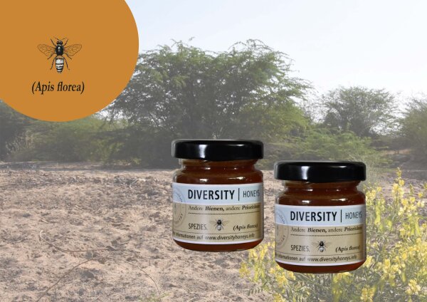 Probierglas: Honig von der Zwergbiene, Rann of Kutch in Indien 50 g