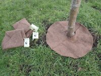 Mulchmatte aus Bio-Schafwolle,  60cm